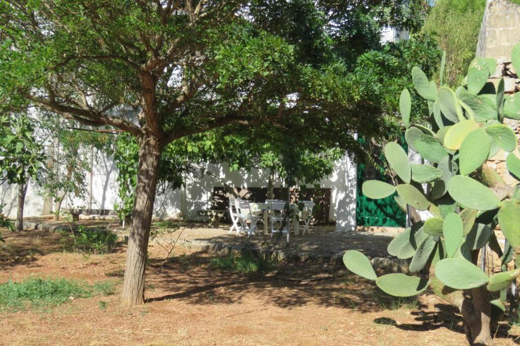 Casa Colonica Villa Gallipoli Exterior foto