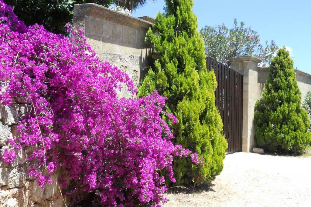 Casa Colonica Villa Gallipoli Exterior foto
